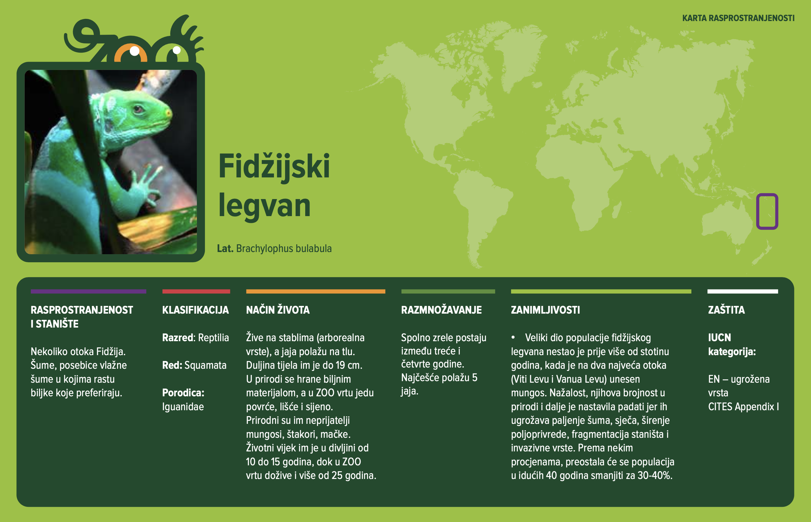 Fidžijski legvan (Brachylophus bulabula)